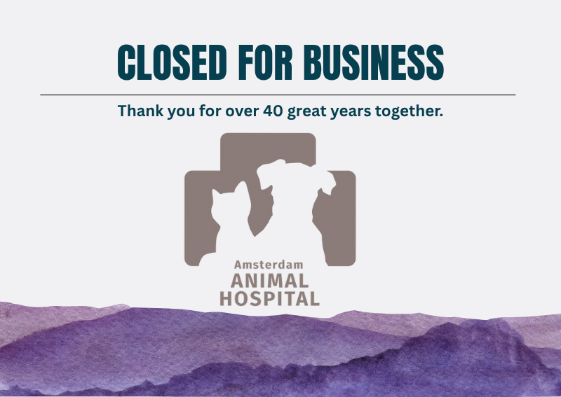 Carousel Slide 1: Learn More